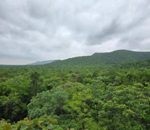 Watchtower view in Bairluty Jungle safari